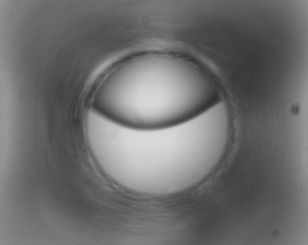 X0000114391267200910161024
