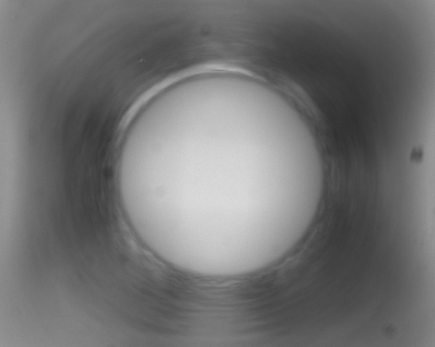X0000114391268200910161024