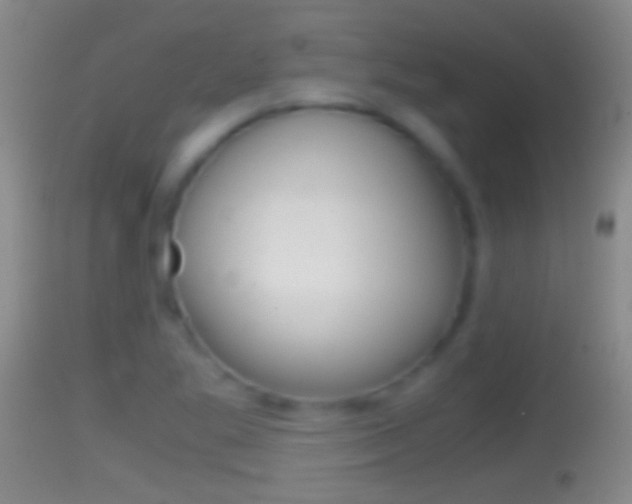 X0000114391269200910161024