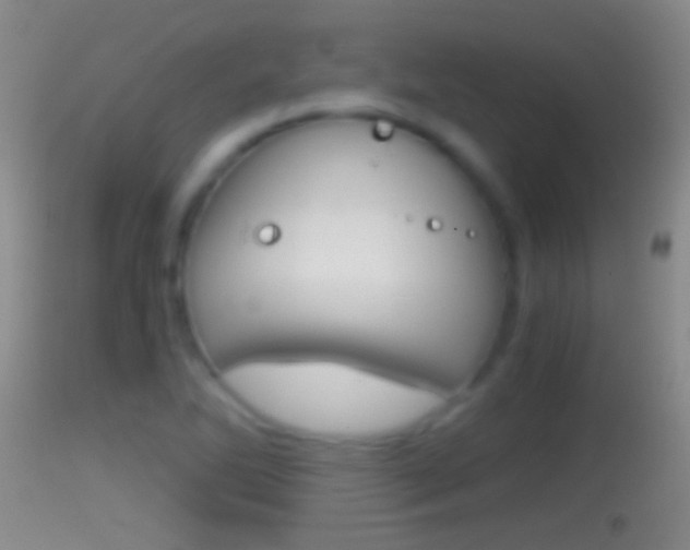 X0000114391270200910161024