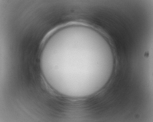 X0000114391272200910161024