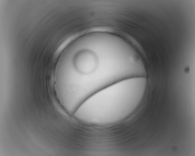 X0000114391274200910161024