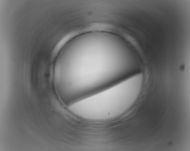 X0000114391275200910161024