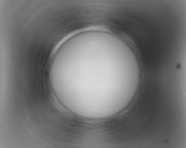 X0000114391276200910161024