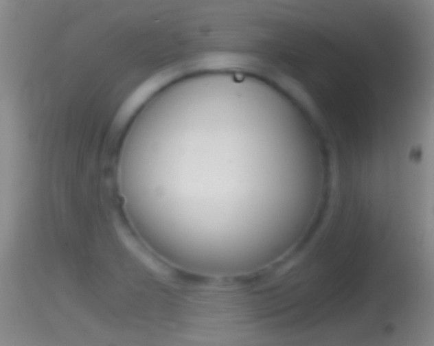 X0000114391277200910161024