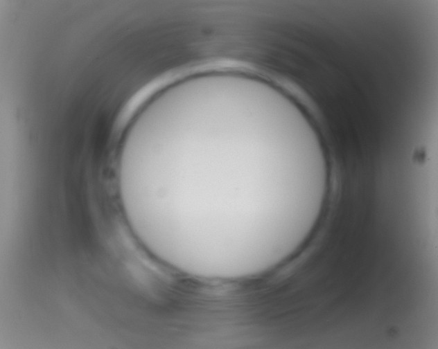 X0000114391278200910161024