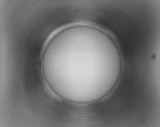 X0000114391280200910161024
