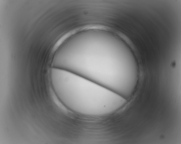 X0000114391282200910161023