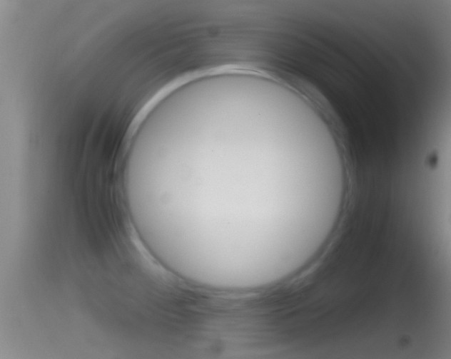 X0000114391284200910161023