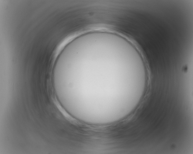 X0000114391285200910161023