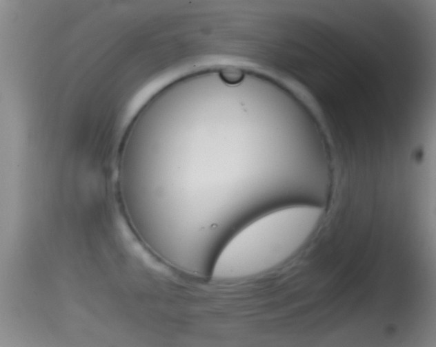 X0000114391287200910161023