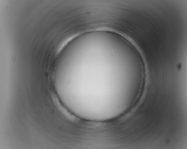 X0000114391289200910161023