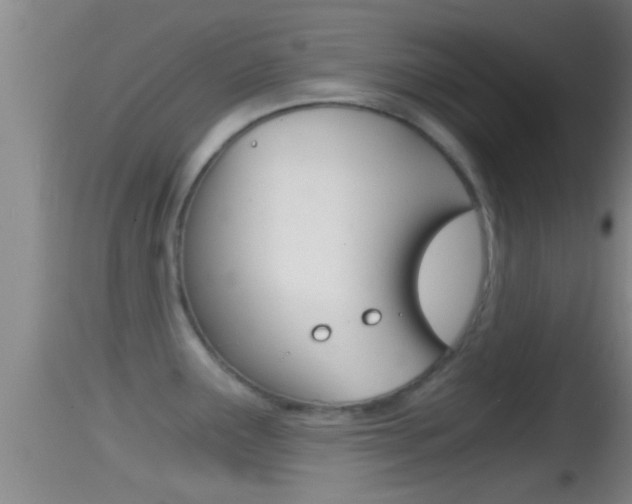 X0000114391291200910161023