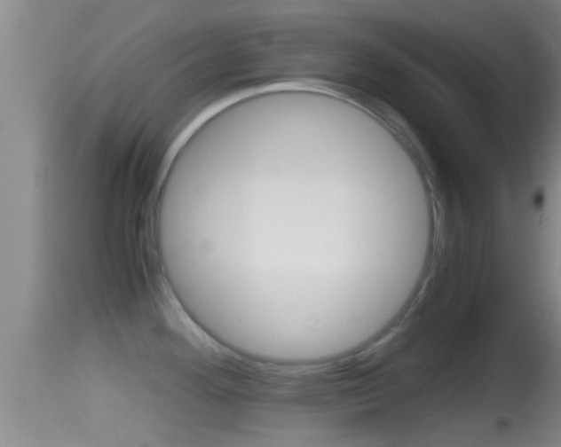 X0000114391292200910161023