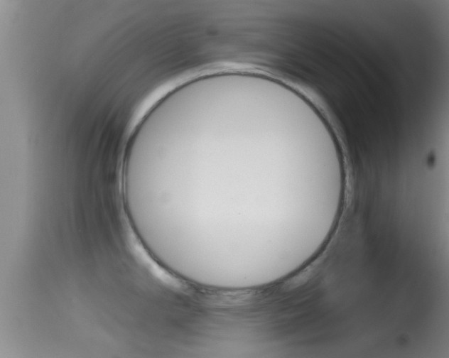 X0000114391294200910161023