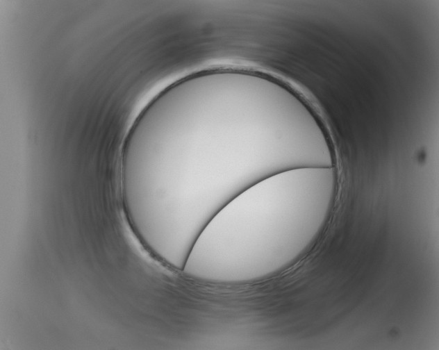 X0000114391295200910161023