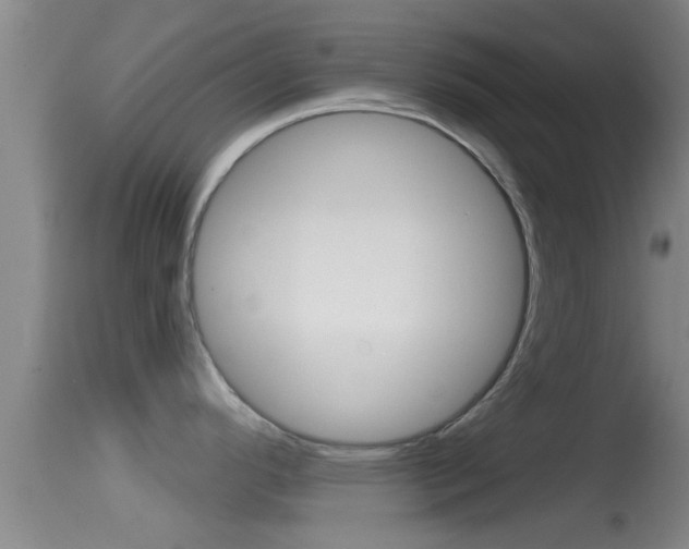 X0000114391296200910161023