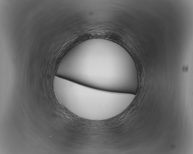 X0000114391297200910161022