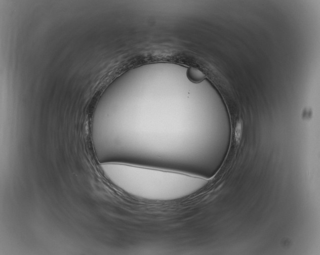 X0000114391299200910161022