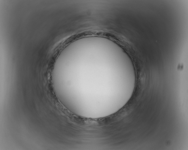 X0000114391302200910161022