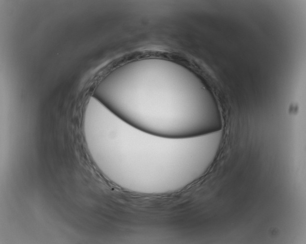 X0000114391303200910161022