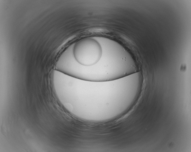 X0000114391305200910161022