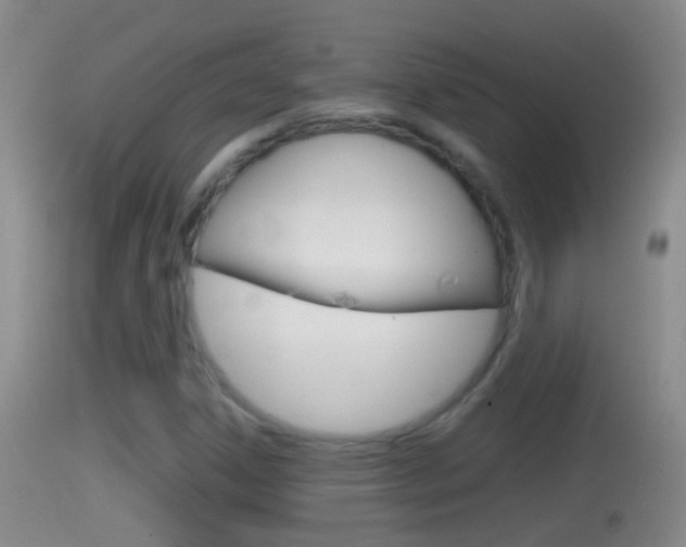 X0000114391306200910161022