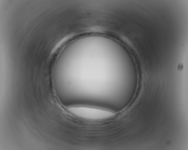 X0000114391307200910161022