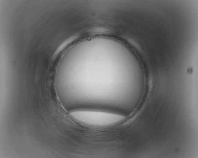 X0000114391309200910161022