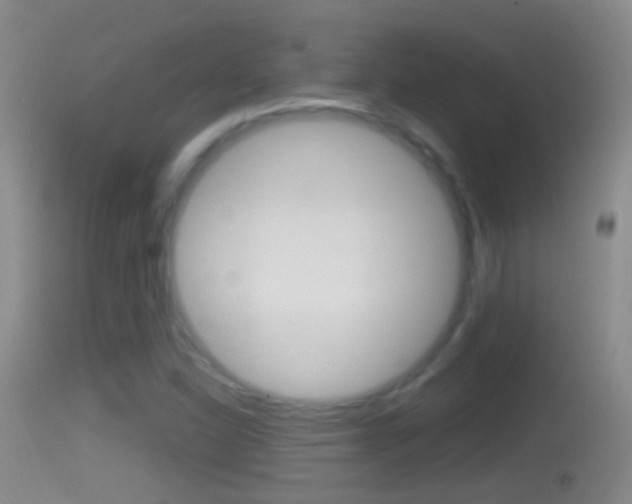 X0000114391310200910161022
