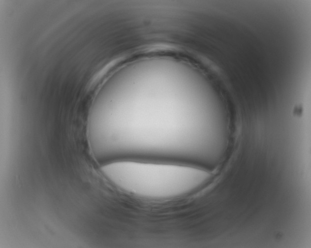 X0000114391313200910161023