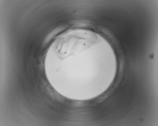 X0000114391314200910161023