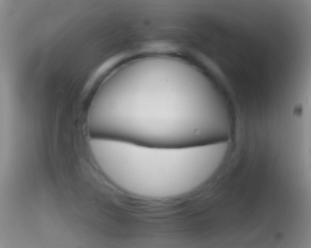 X0000114391315200910161023