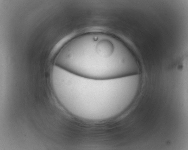 X0000114391317200910161023