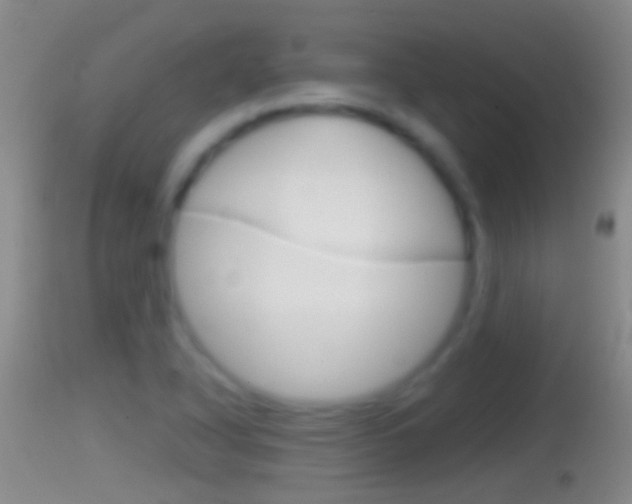 X0000114391318200910161023