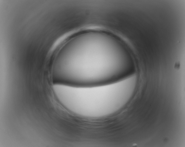 X0000114391319200910161023