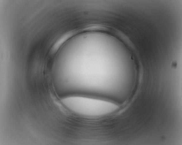 X0000114391321200910161023