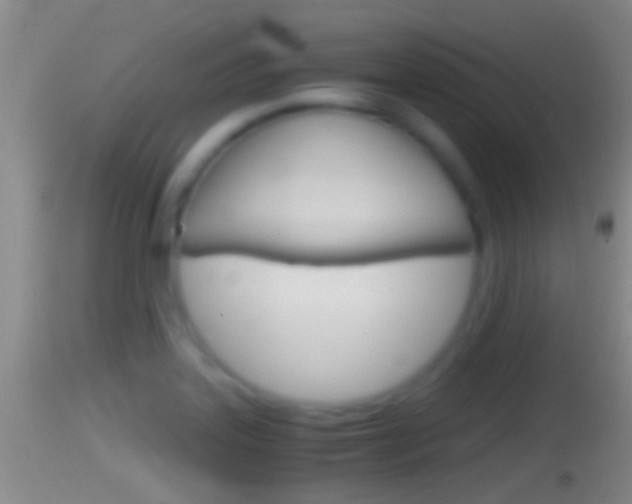 X0000114391323200910161023