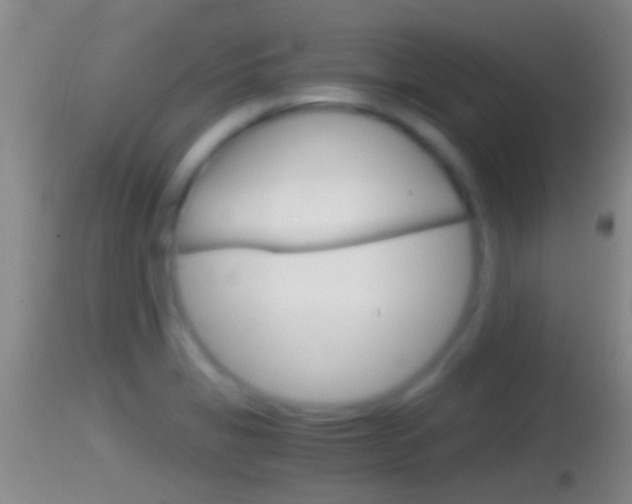 X0000114391325200910161023