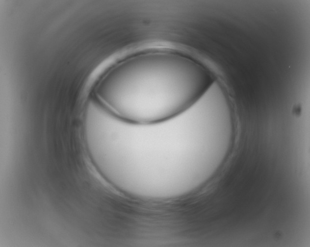 X0000114391326200910161023
