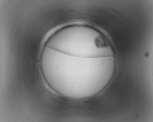 X0000114391327200910161023