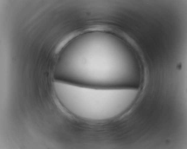 X0000114391329200910161023