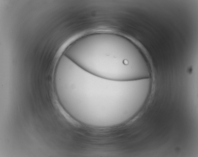 X0000114391333200910161023
