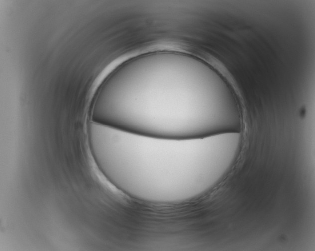 X0000114391339200910161023