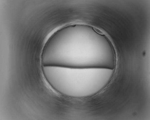 X0000114391341200910161023