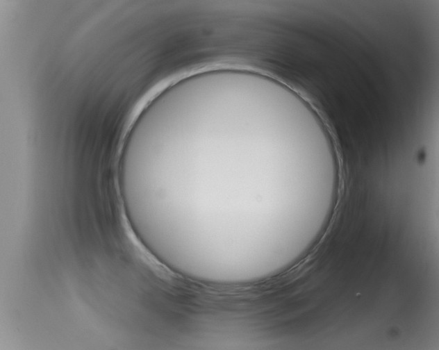 X0000114391342200910161023