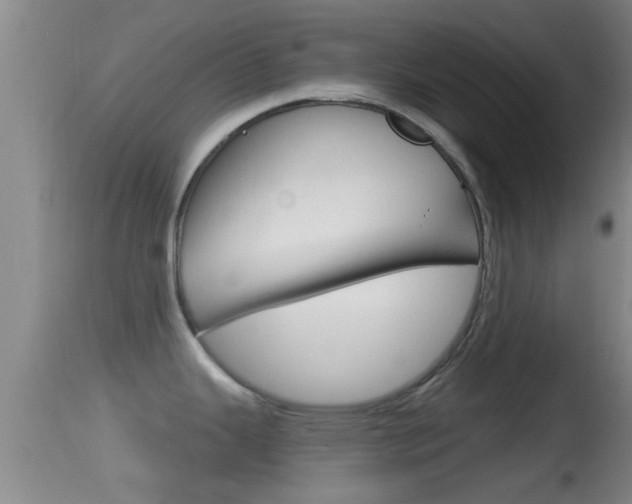 X0000114391343200910161023