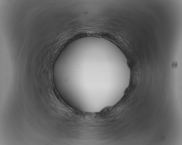 X0000114391345200910161022