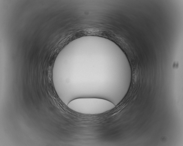 X0000114391346200910161022
