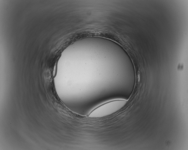 X0000114391347200910161022